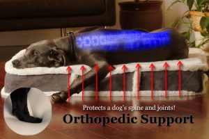 Best Orthopedic Dog Beds 2018