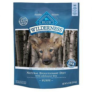 Best Dry Dog Food for Puppies
