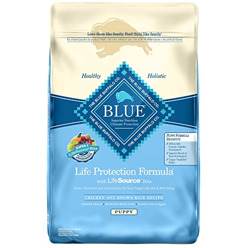 Best Dry Dog Food For Puppies| blue buffalo
