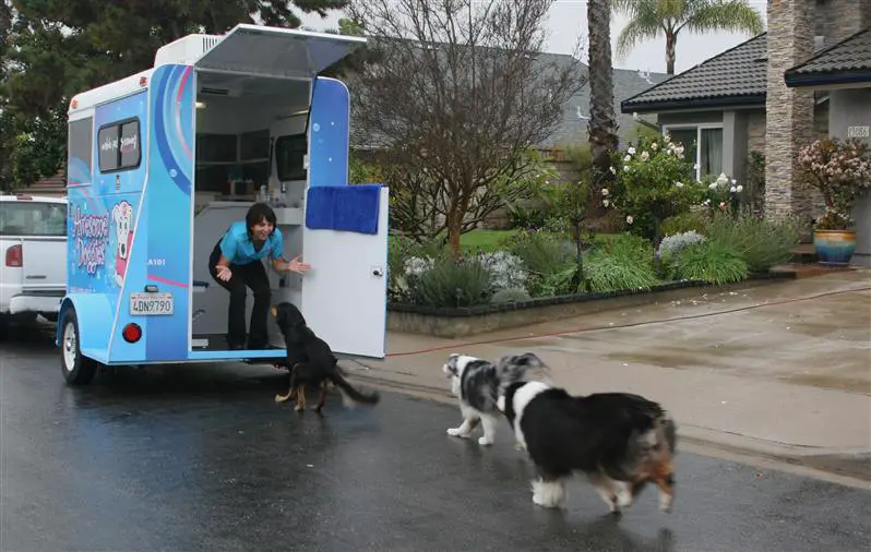 Ten Reasons To Use A Mobile Dog Groomer