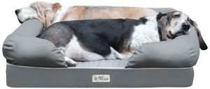 Best Orthopedic Dog Beds 2018