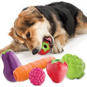 The importance of dog toys